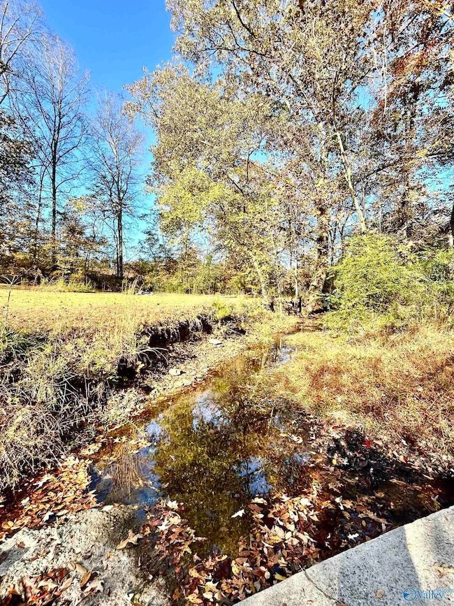 21521 Cairo Hollow Rd, Athens, AL 35614 - photo 3