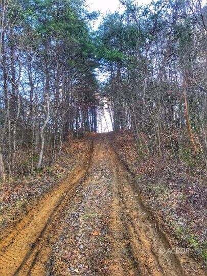 Trail