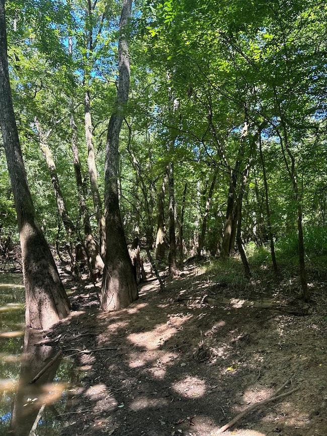 219 Chestnut Dr, Eastman, GA 31023 - photo 5