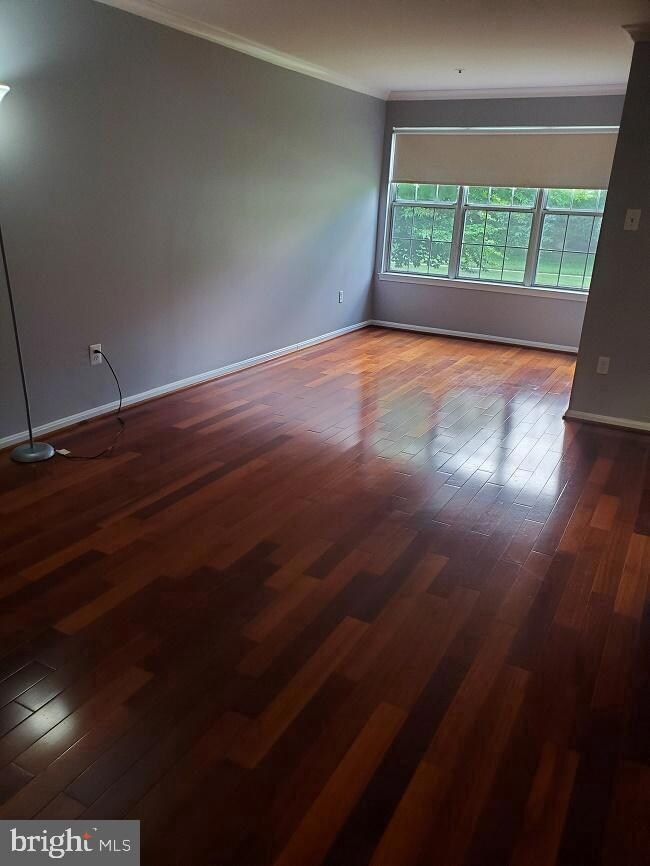 14905 Cleese Ct unit 5AD, Silver Spring, MD 20906 - photo 4