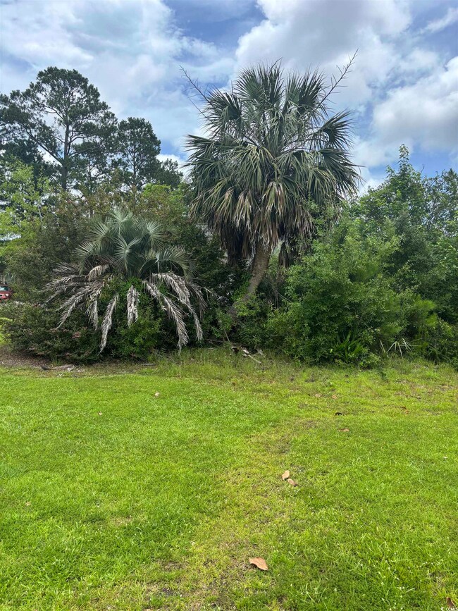 View of grassy yard