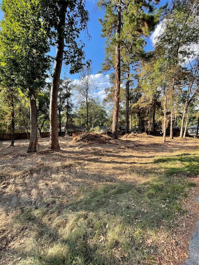 0 Spring Creek Dr unit 85188515, Spring, TX 77373 - photo 2