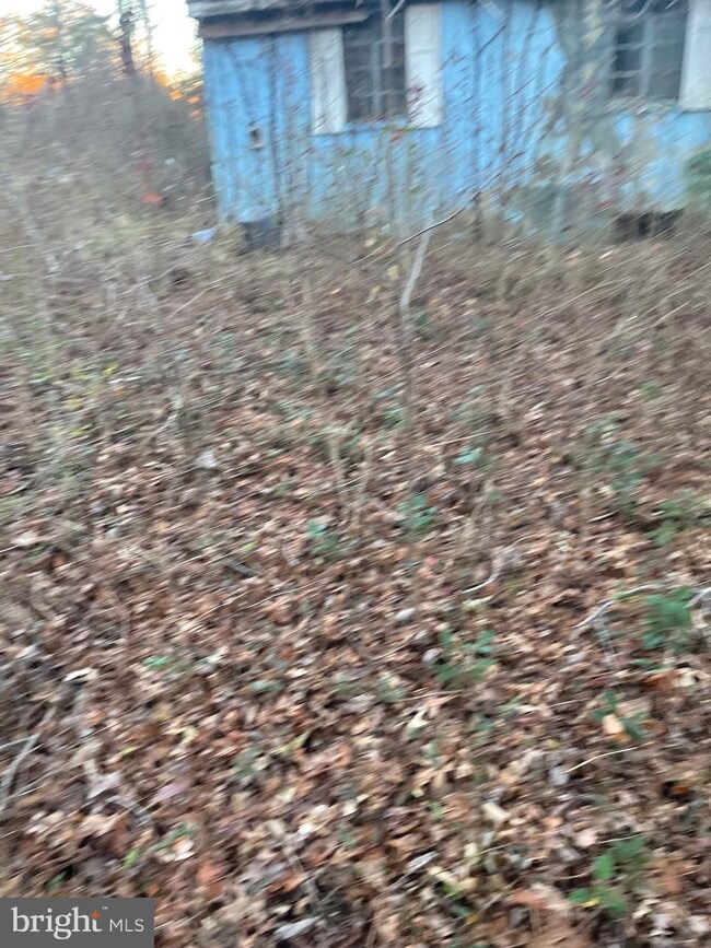 4162 Muddy Creek Rd, Harwood, MD 20776 - photo 5