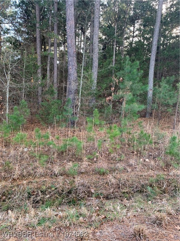 Wooded Lot