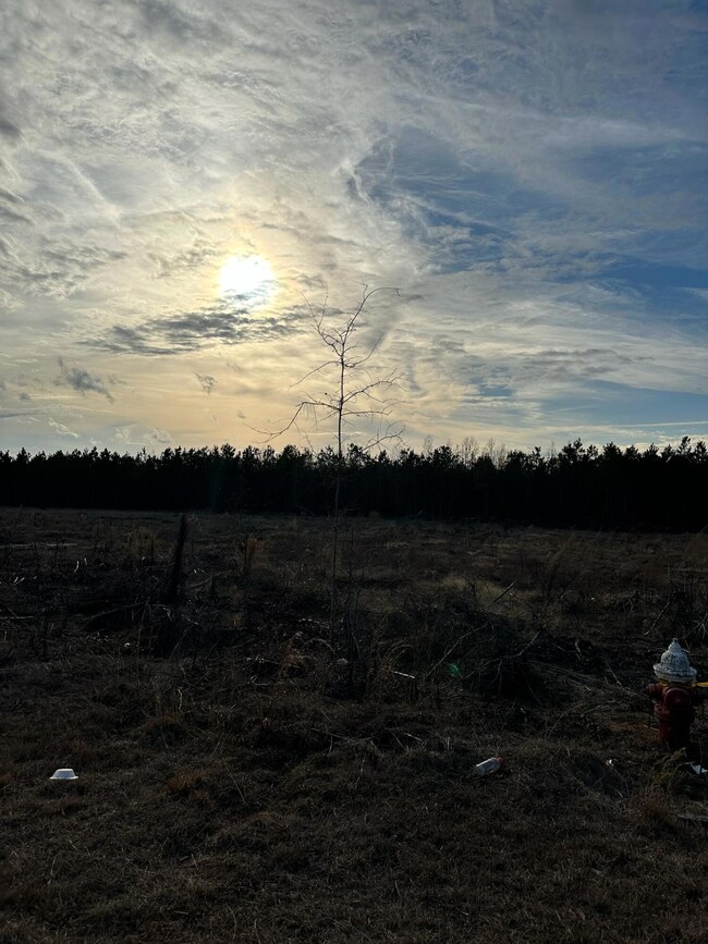 5 + Acres