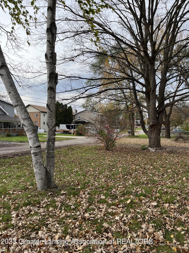 Front Yard Street 2