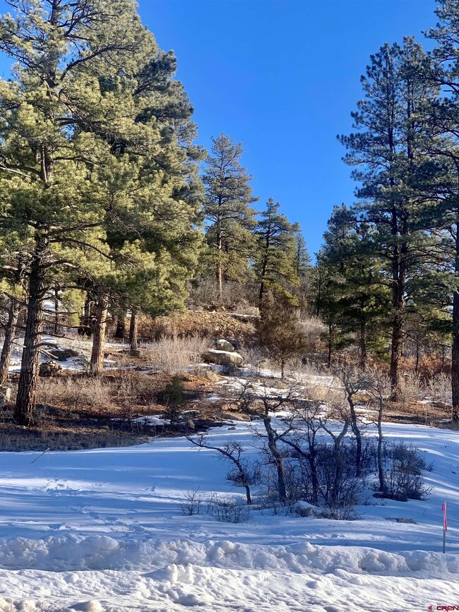(Lot 93)1156 Twin Buttes Ave, Durango, CO 81301 - photo 2