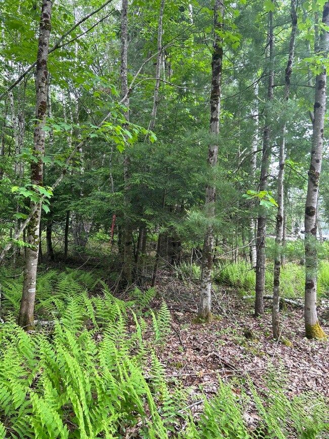 18 Shady Ln, Lisbon, ME 04250 - photo 7