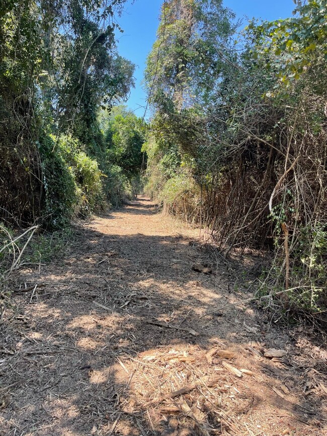 22425 Roberts Cemetery Rd, Hockley, TX 77447 - photo 7