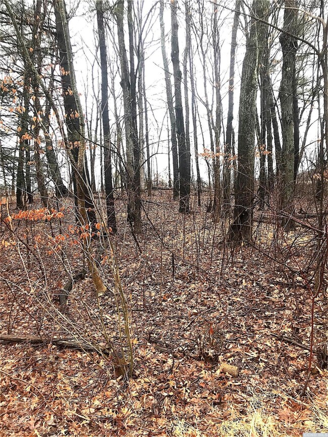 2 - L Sleepy Hollow Rd, Athens, NY 12015 - photo 7