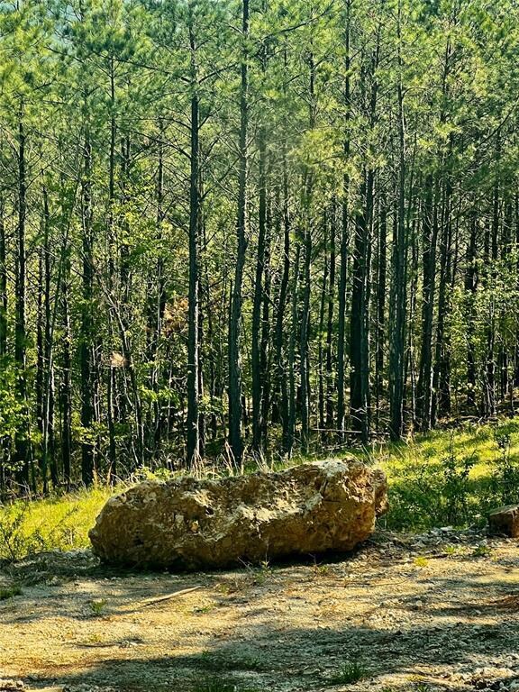View of nature with a forest view