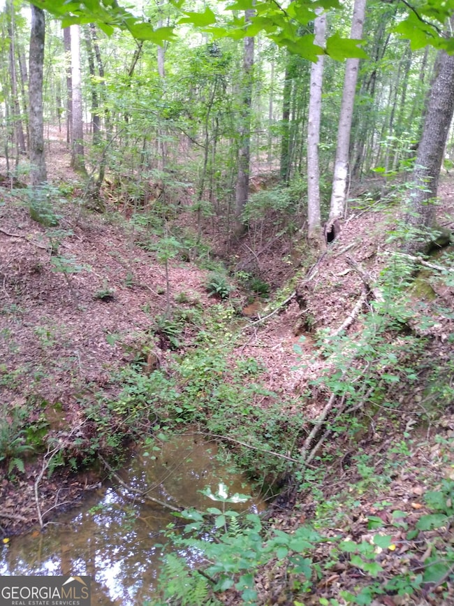 0 Hawkins Academy Rd unit 10561655, Social Circle, GA 30025 - photo 5