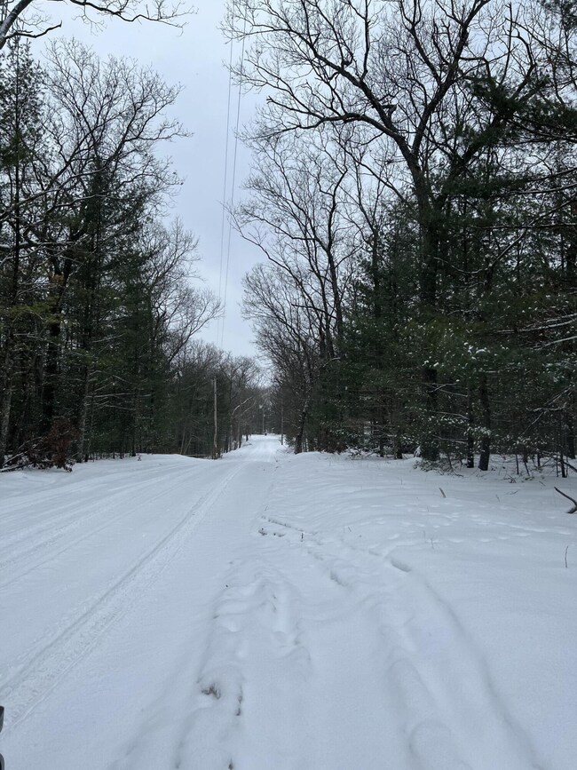 Wooded Area!