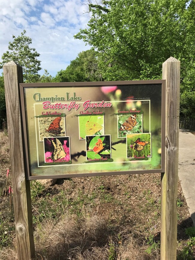 0 County Road 417 Parkway Dr unit 10051907, Dayton, TX 77535 - photo 7