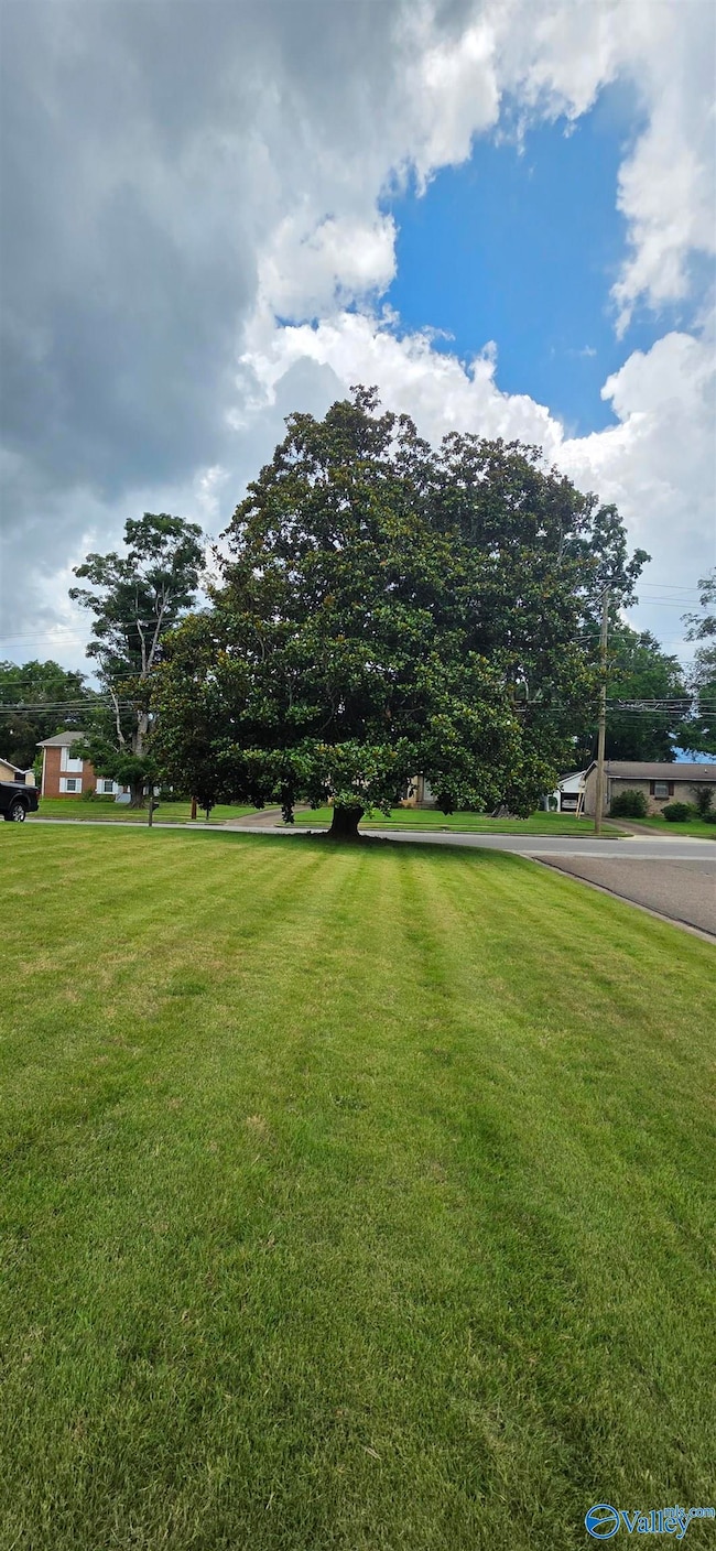 7711 Logan Dr SW, Huntsville, AL 35802 - photo 5