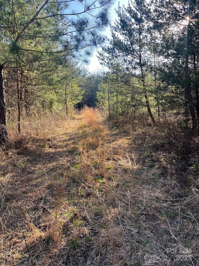 V/L Southern Way, Nebo, NC 28761 - photo 2