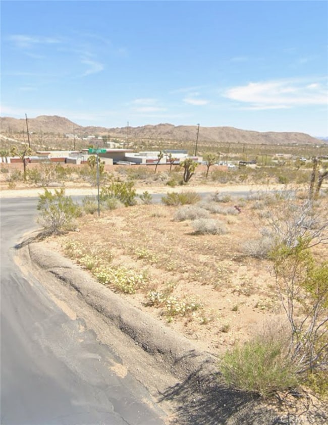 60851 Division St, Joshua Tree, CA 92252 - photo 3