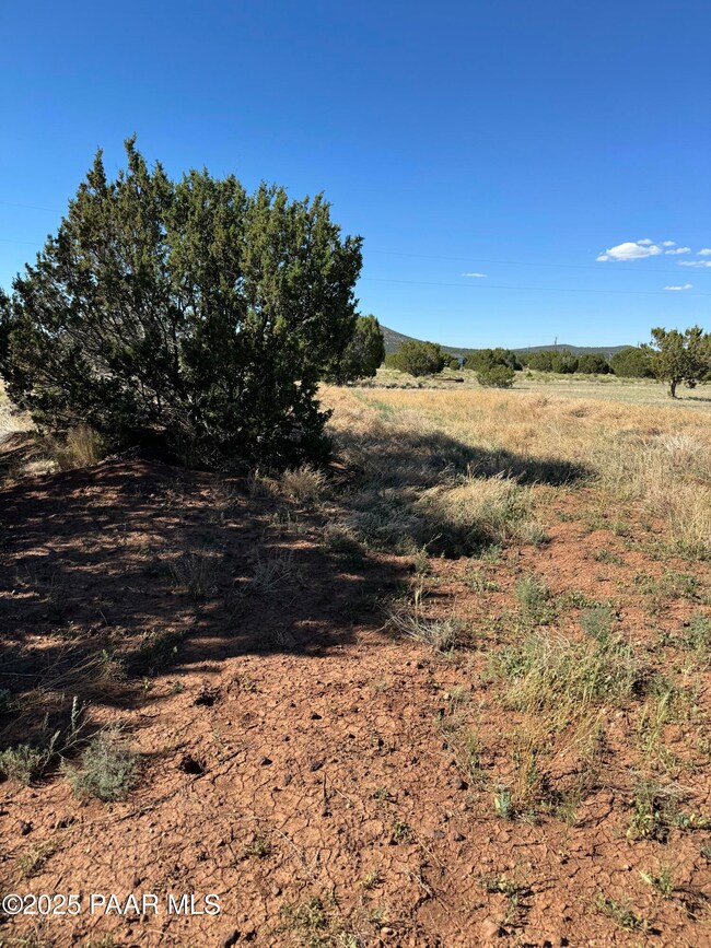 871 E Alimos Way, Williams, AZ 86046 - photo 2