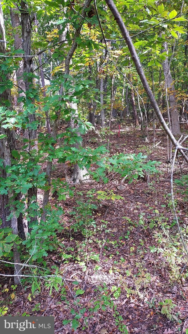 0 Lingenfelter Rd Hillview Dr unit PABD2000734, Bedford, PA 15522 - photo 7