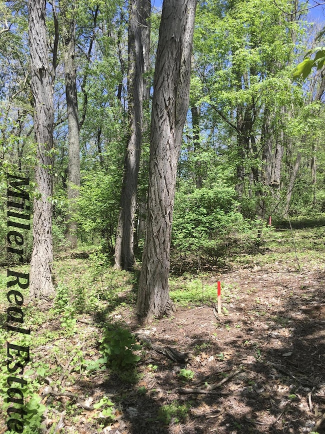 Iroquois Trail-3