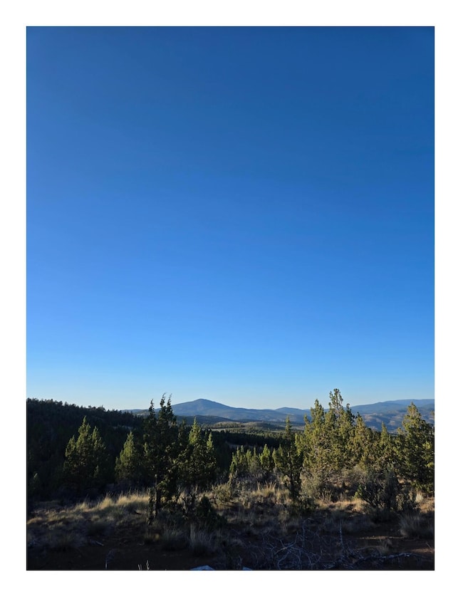 20102 SE Osprey Rd unit 800, Prineville, OR 97754 - photo 2