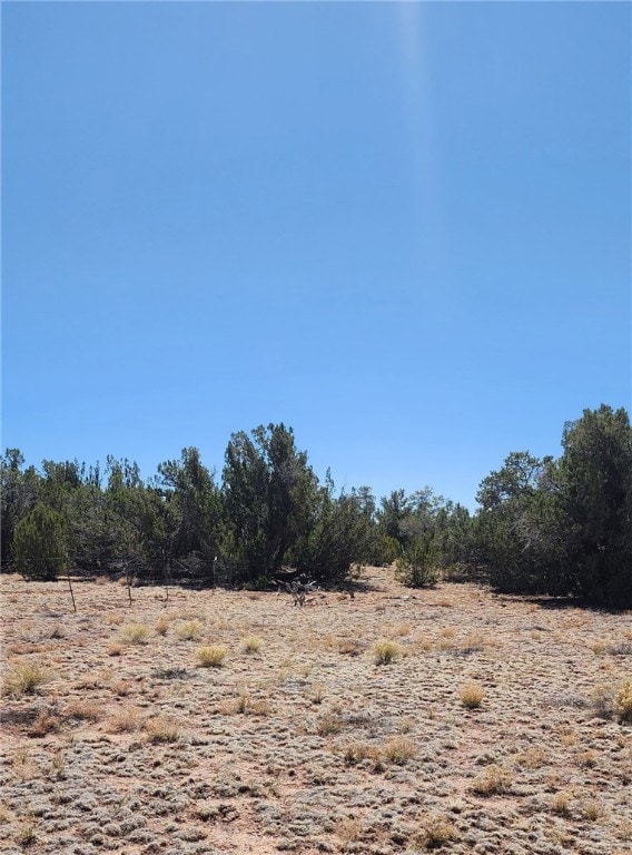 Lot B Roaming Way, Seligman, AZ 86337 - photo 6