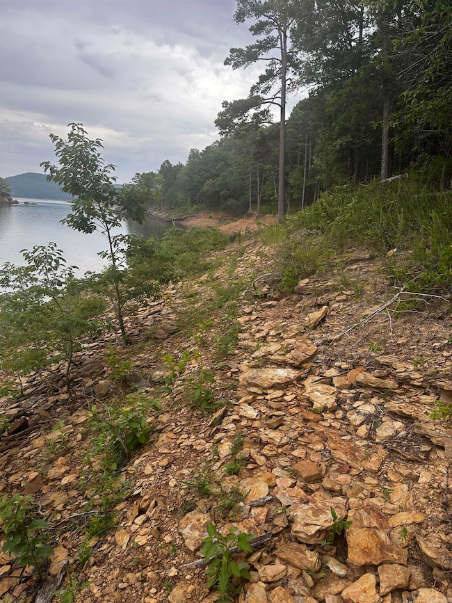 Lot 70 Cobalt Bay Dr, Shirley, AR 72153 - photo 2