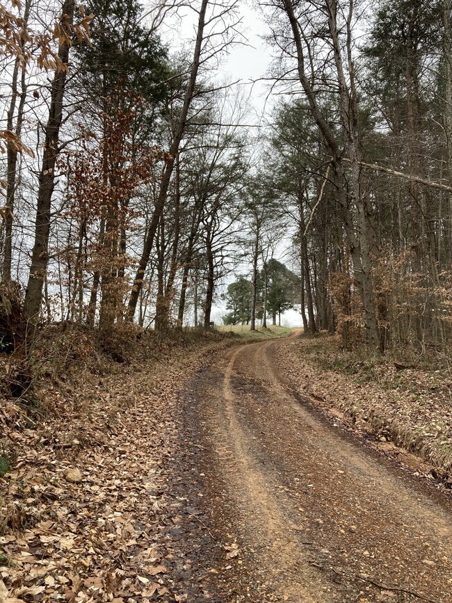 131 Hurricane Creek Dr, Tennessee Ridge, TN 37178 - photo 3