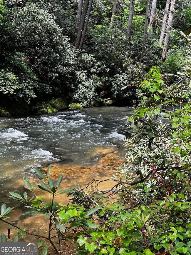 105 Chinquapin Ln, Clarkesville, GA 30523 - photo 2