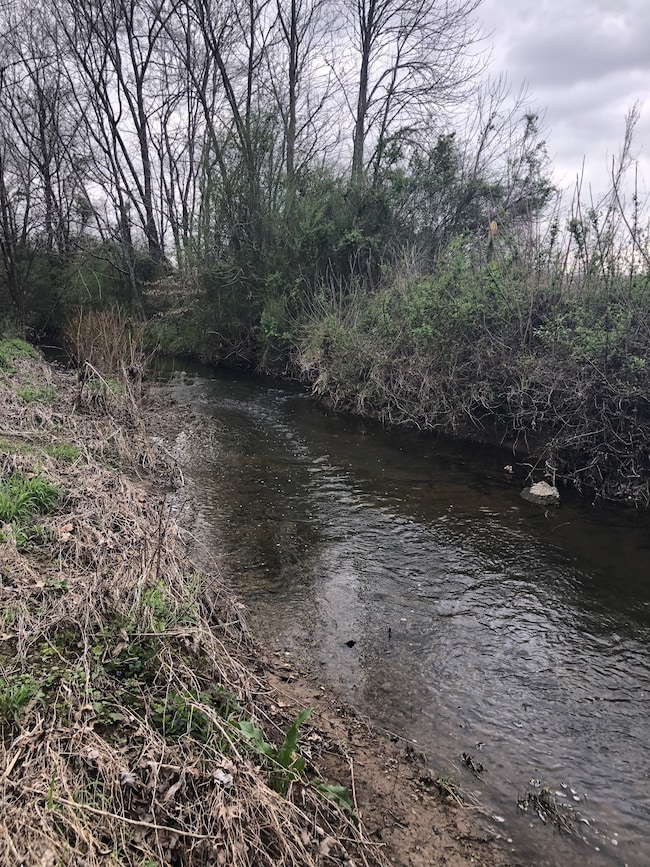 0 Duncan Rd, Manchester, TN 37355 - photo 5