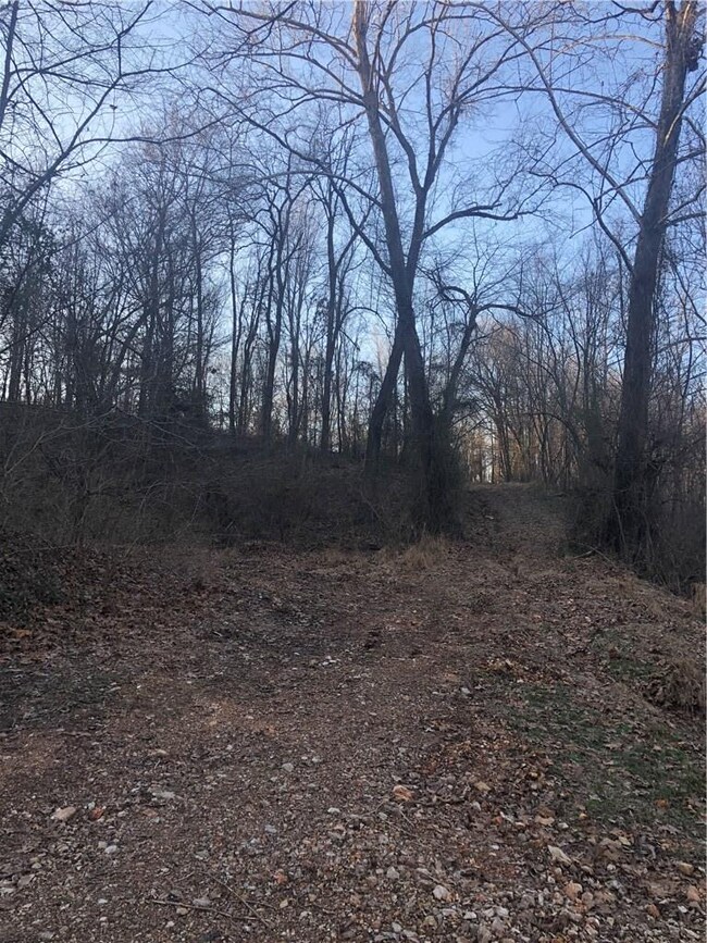 14259 Lott Rd, Elm Springs, AR 72762 - photo 4