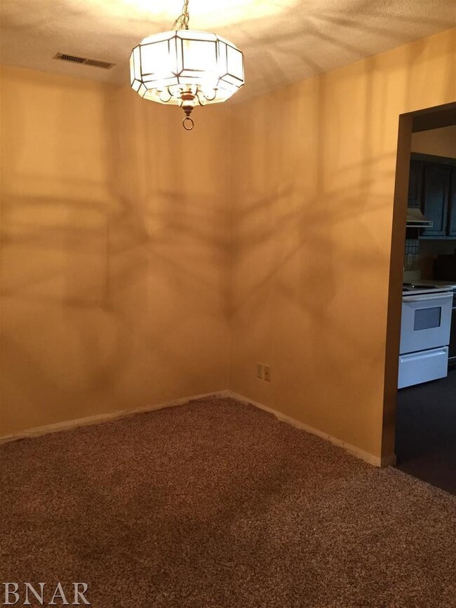 601 N Main St unit 3N UNIT 3N, Normal, IL 61761 - photo 4