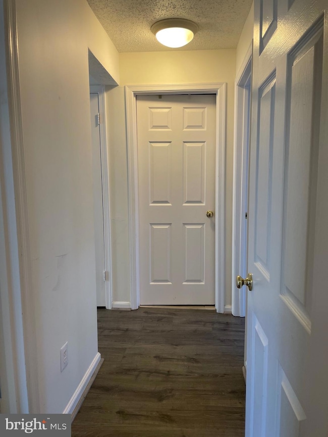 7000 Irwell Ln unit 11C, Alexandria, VA 22315 - photo 4