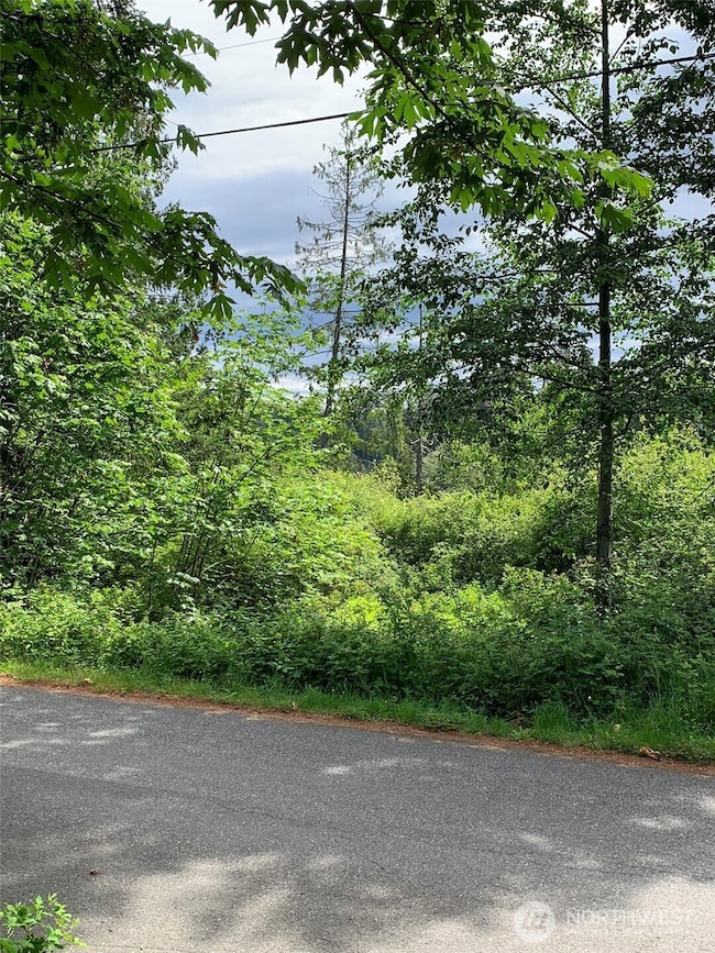 0 84th Dr NW, Stanwood, WA 98292 - photo 3