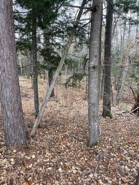 Lot 1 Spring Bridge Rd, Greenbush, ME 04418 - photo 2