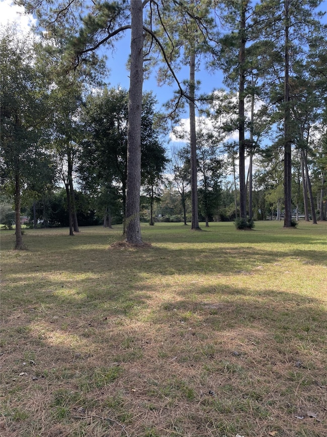 27110 Cherokee Ln, Magnolia, TX 77354 - photo 6