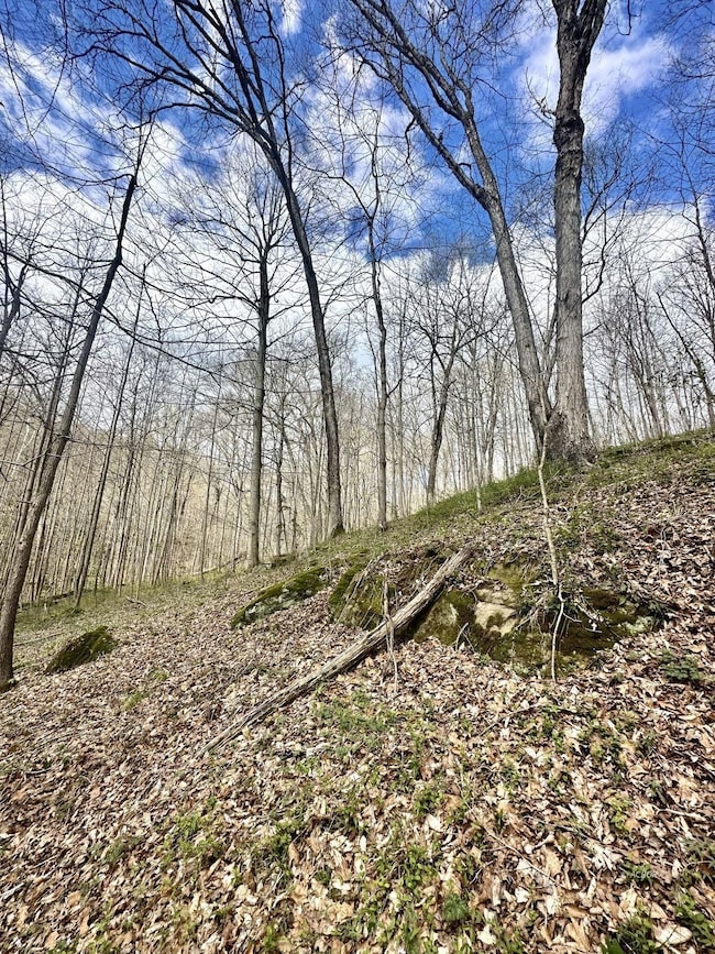 0 Little Kyger Rd, Cheshire, OH 45620 - photo 6