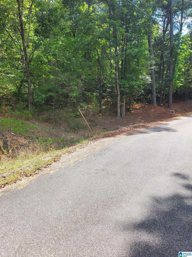 7595 McCombs Mill Rd unit 1, Pinson, AL 35126 - photo 5