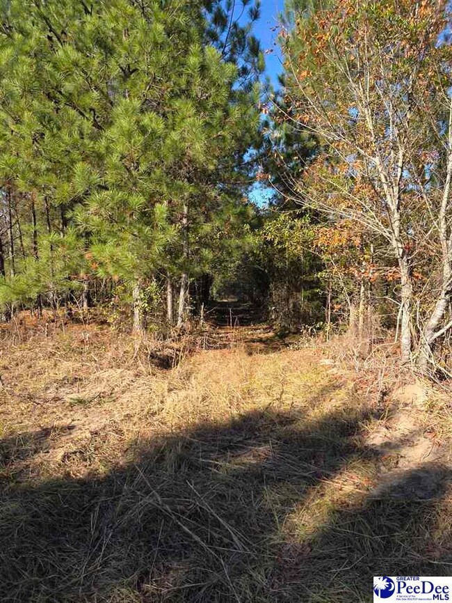 0000 S Carolina 265, Ruby, SC 29741 - photo 6
