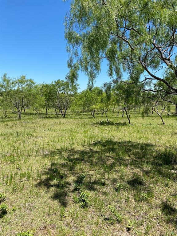 Lot 7 TBD Fm 1181, Ennis, TX 75119 - photo 5