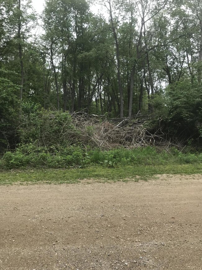 0 Casey Ln unit 3 19010909, Berrien Township, MI 49103 - photo 2