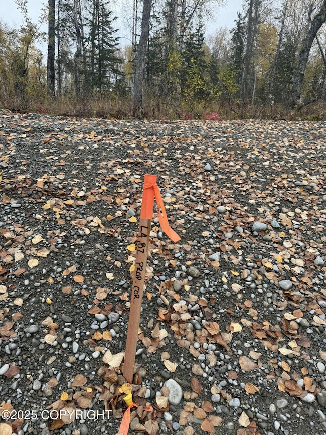 L4 S Lupine Cir, Talkeetna, AK 99676 - photo 6