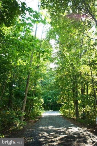 14223 Ritchie Rd, Cascade, MD 21719 - photo 3