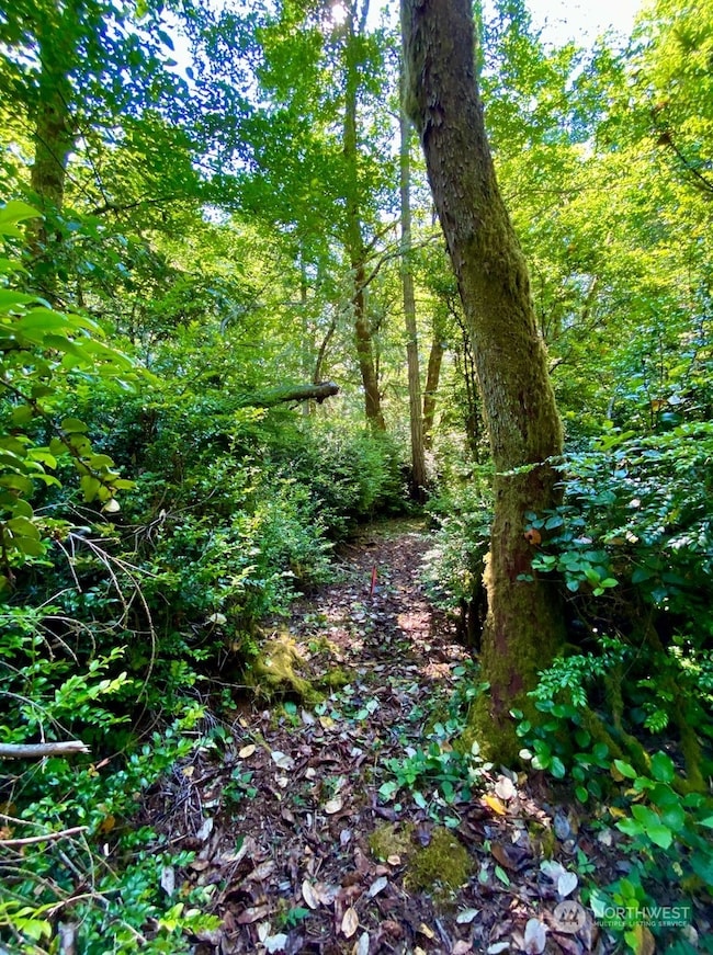 28686 141st Ave SW, Vashon, WA 98070 - photo 3