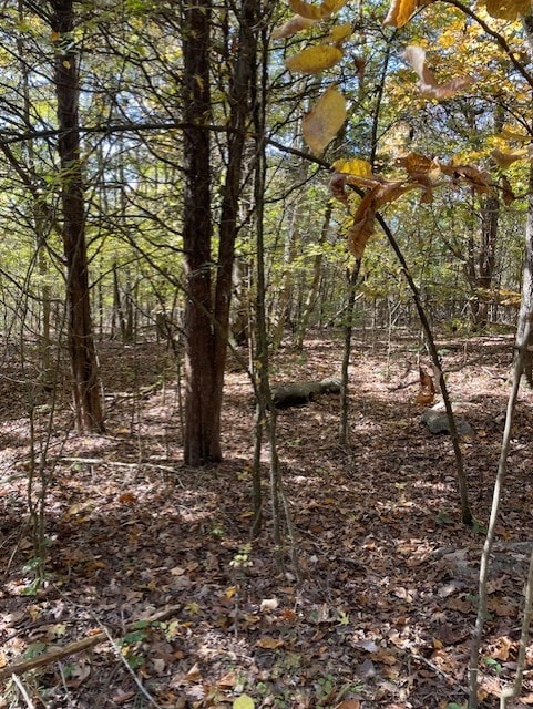 0 Old Nashville Dirt Rd, Shelbyville, TN 37160 - photo 6