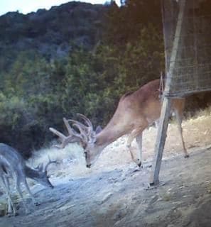 unlisted-address, Rocksprings, TX 78880 - photo 4