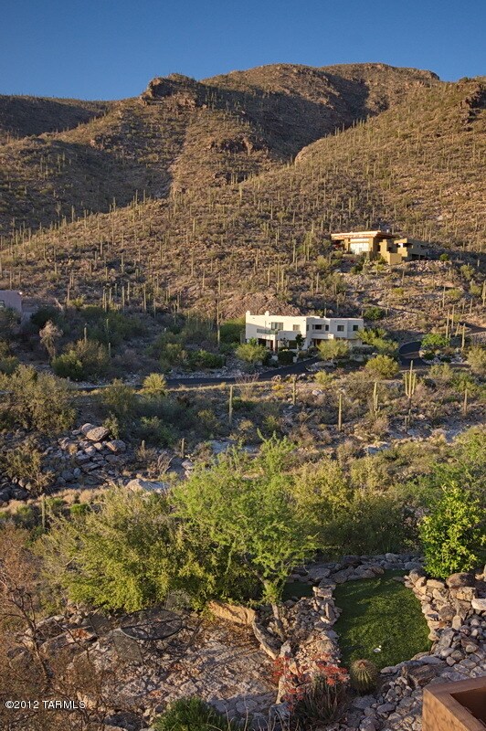 View From the Side of the Home