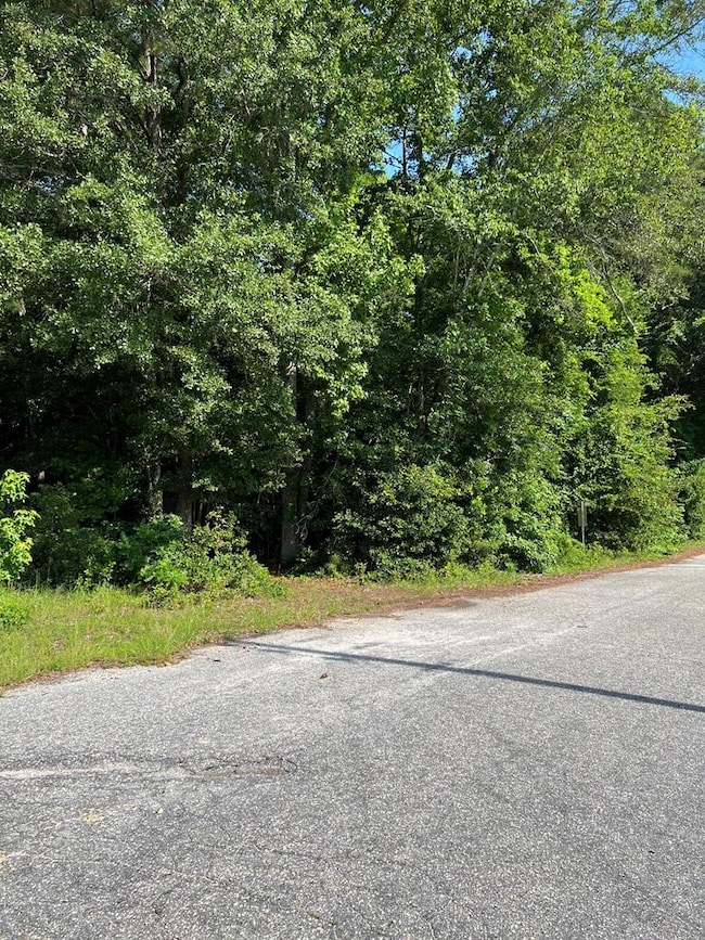 1002 Sterling St, Sumter, SC 29153 - photo 4