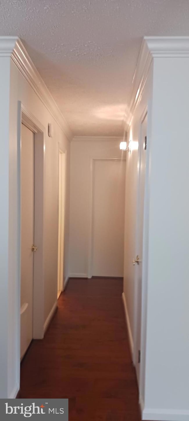 9935 Oakton Terrace Rd unit 24, Oakton, VA 22124 - photo 7