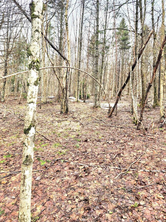 2 Diamond Pond Rd unit B, Stewartstown, NH 03576 - photo 7